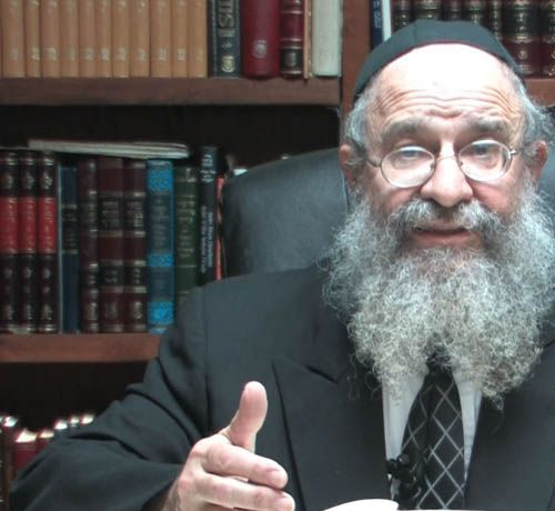 Portrait of Rabbi Yehuda Leib Schapiro